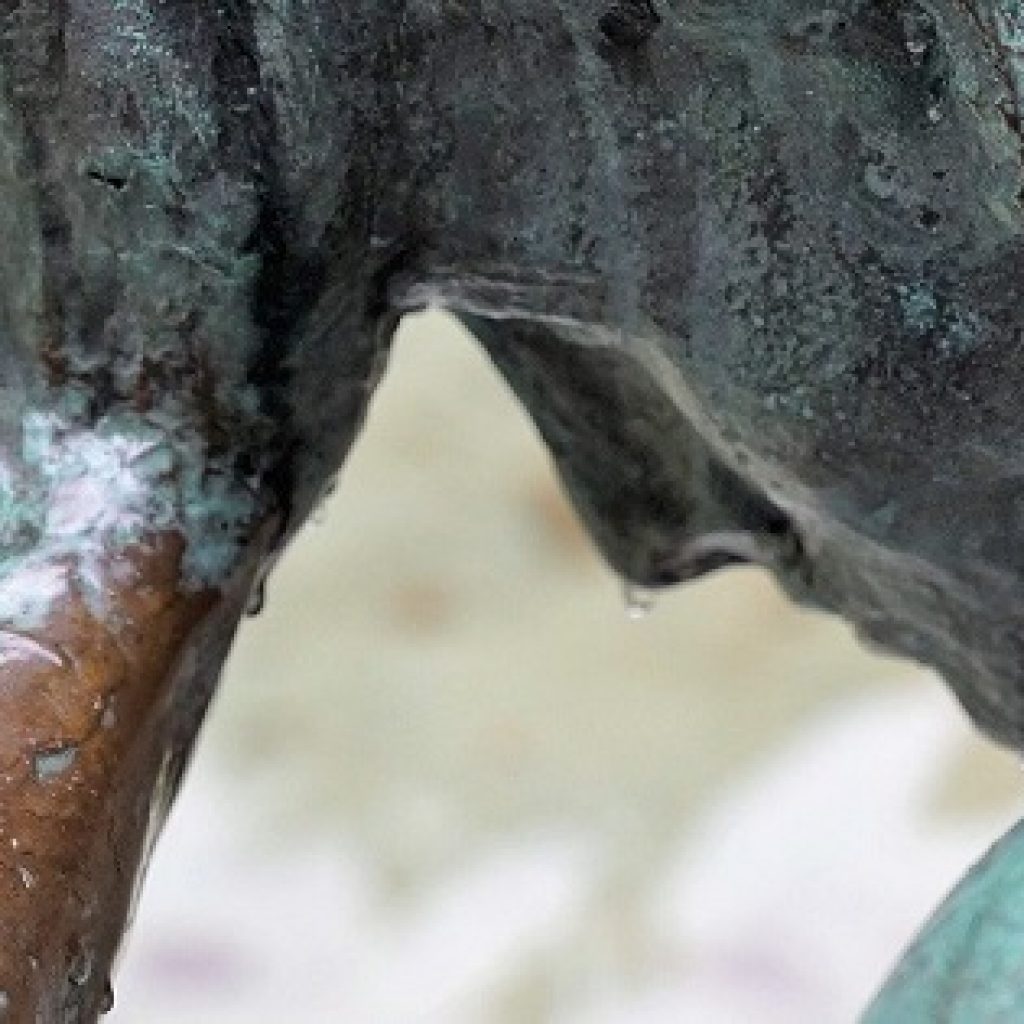 dúvidas com a flexibilização